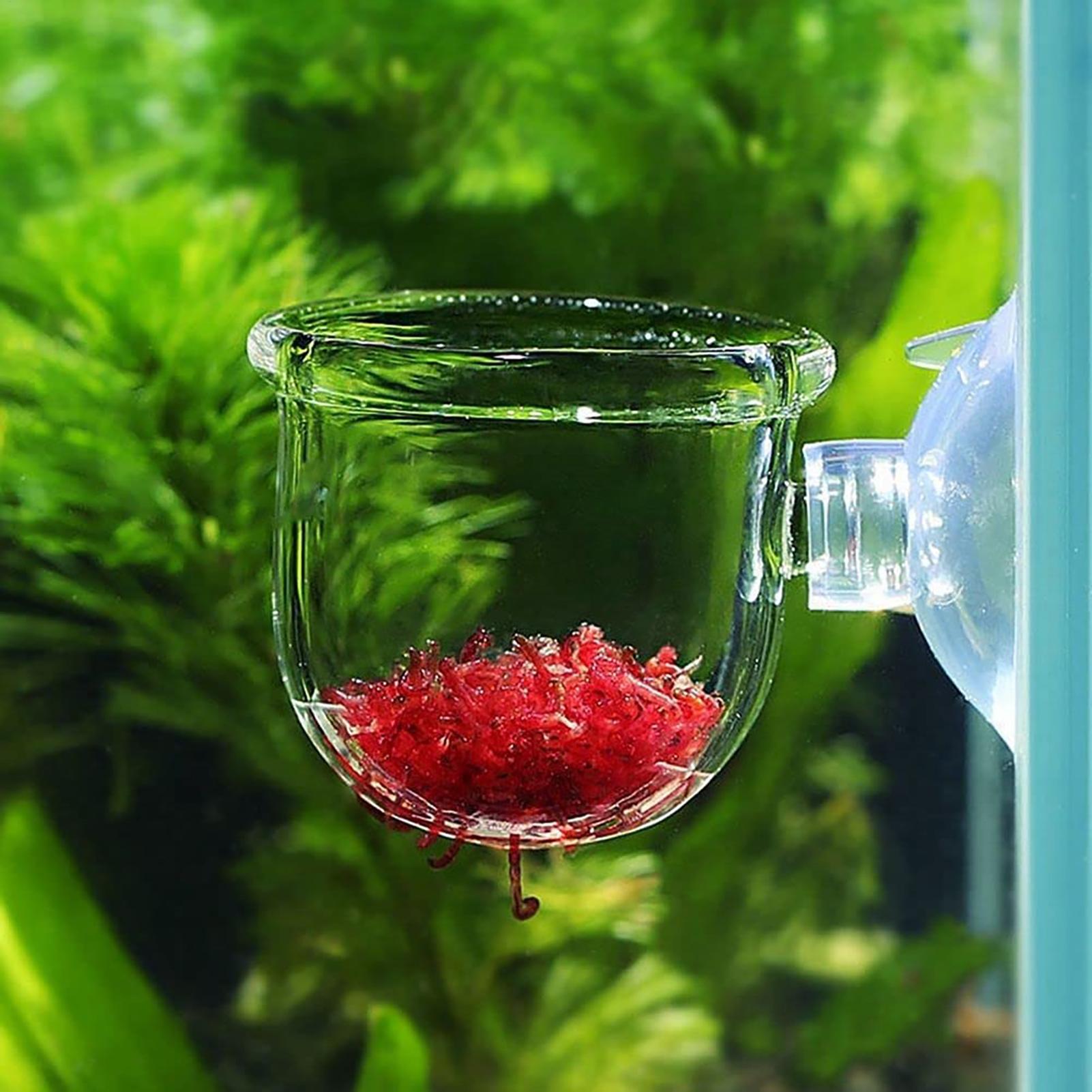Aquarium Plant Utensils - Plant Holder for Fish Tank Clear
