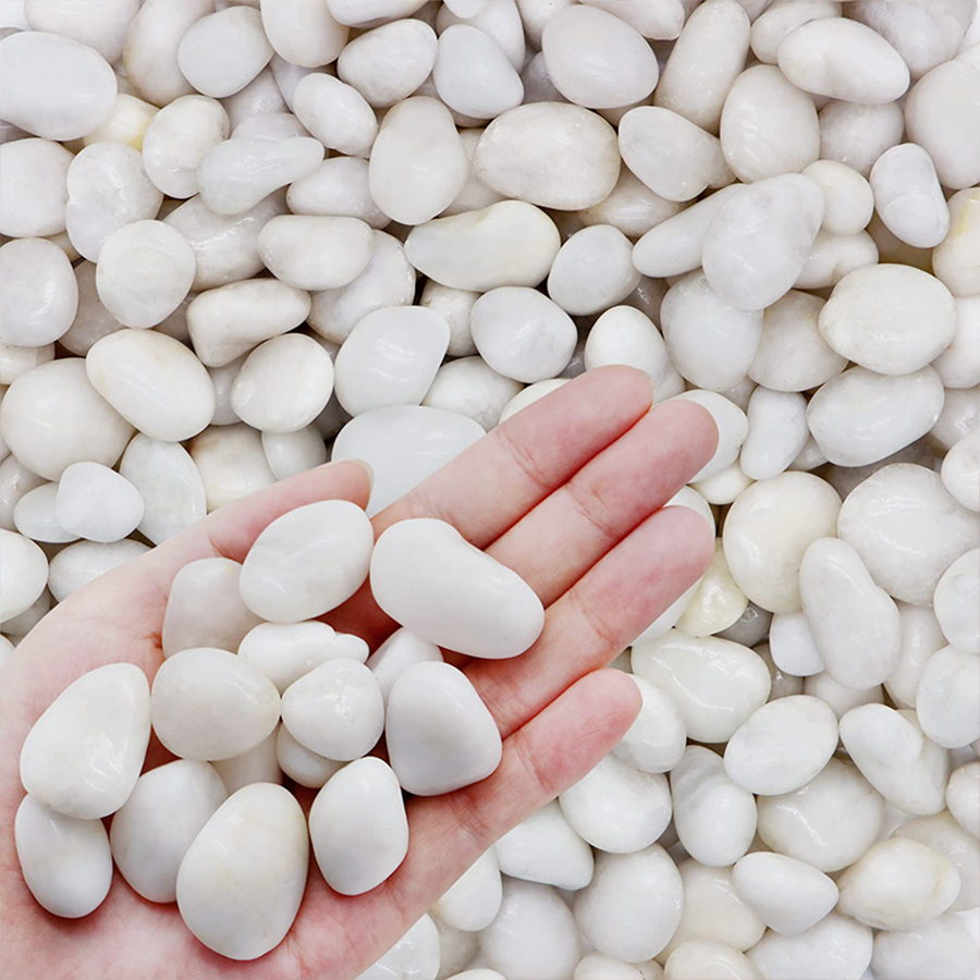 300/500g High Polished White P - Aquarium Sand White incelemesi ve fiyatı