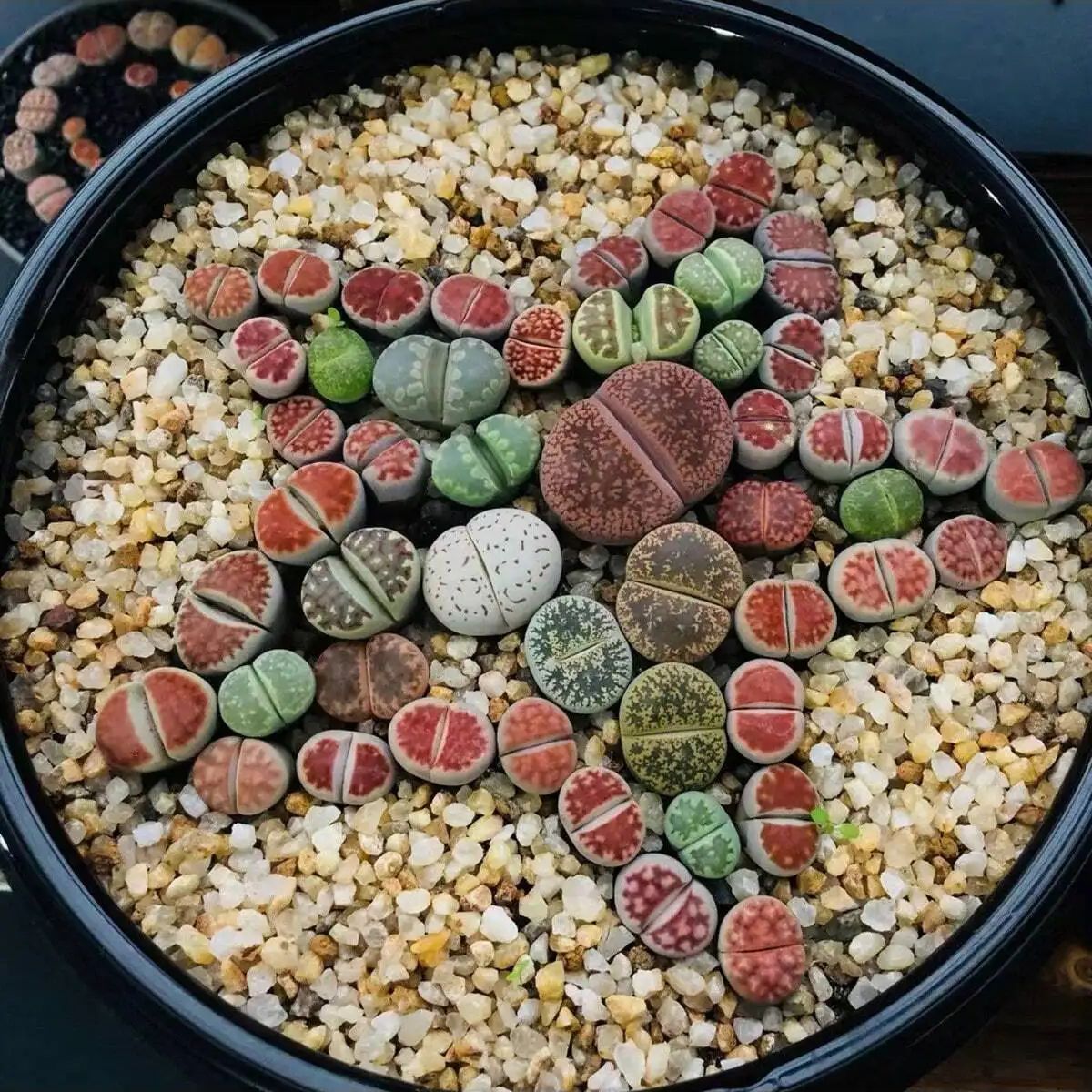 1pc-250g Natural Crystals Grav - Aquarium Planted Sand incelemesi ve fiyatı