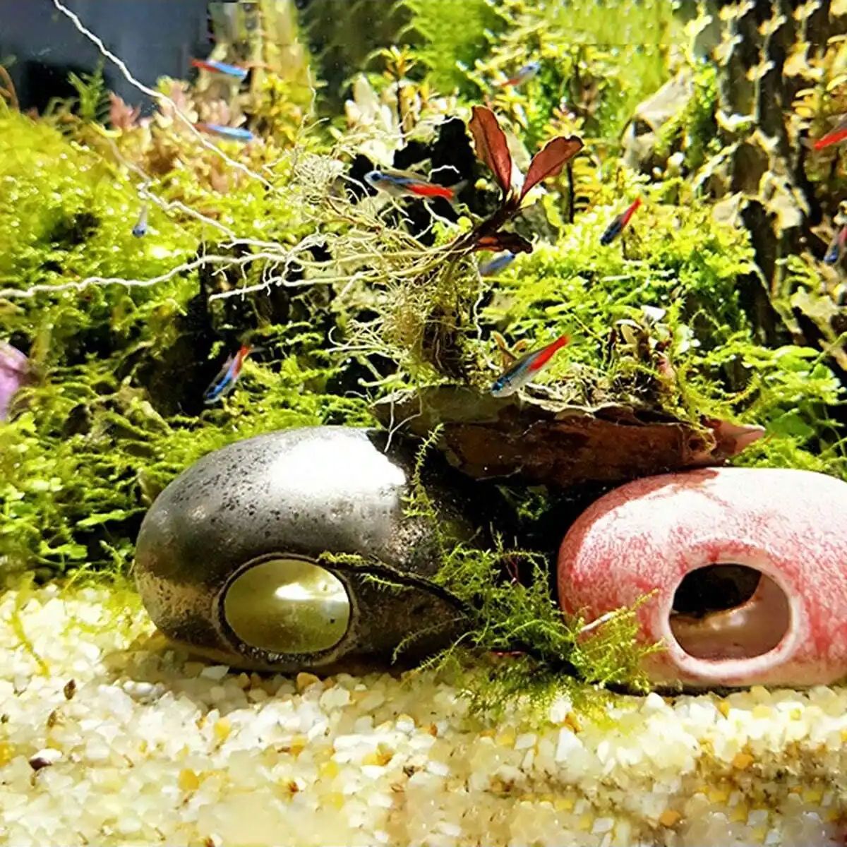 1pc-250g Natural Crystals Grav - Aquarium Planted Sand incelemesi ve fiyatı