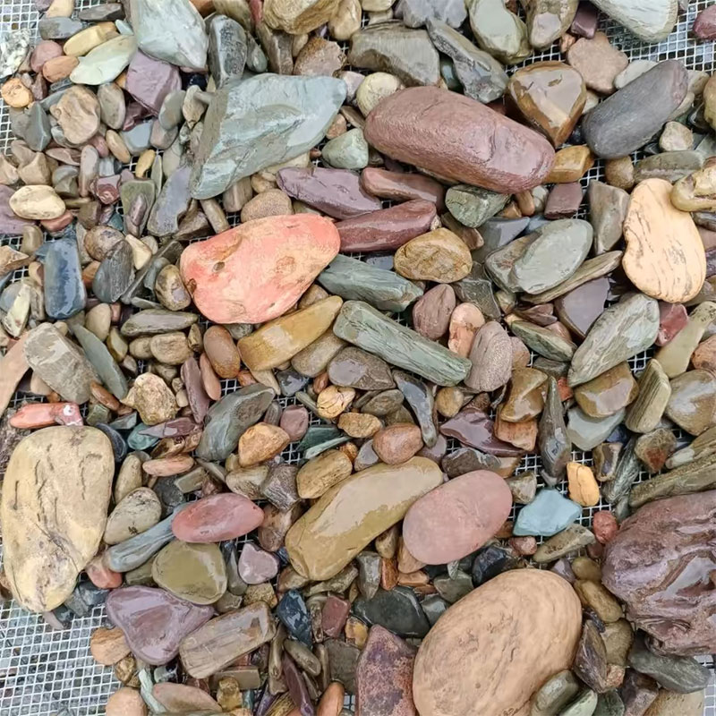 500g Fish Tank Bottom Sand Sto - Aquarium Planted Sand incelemesi ve fiyatı