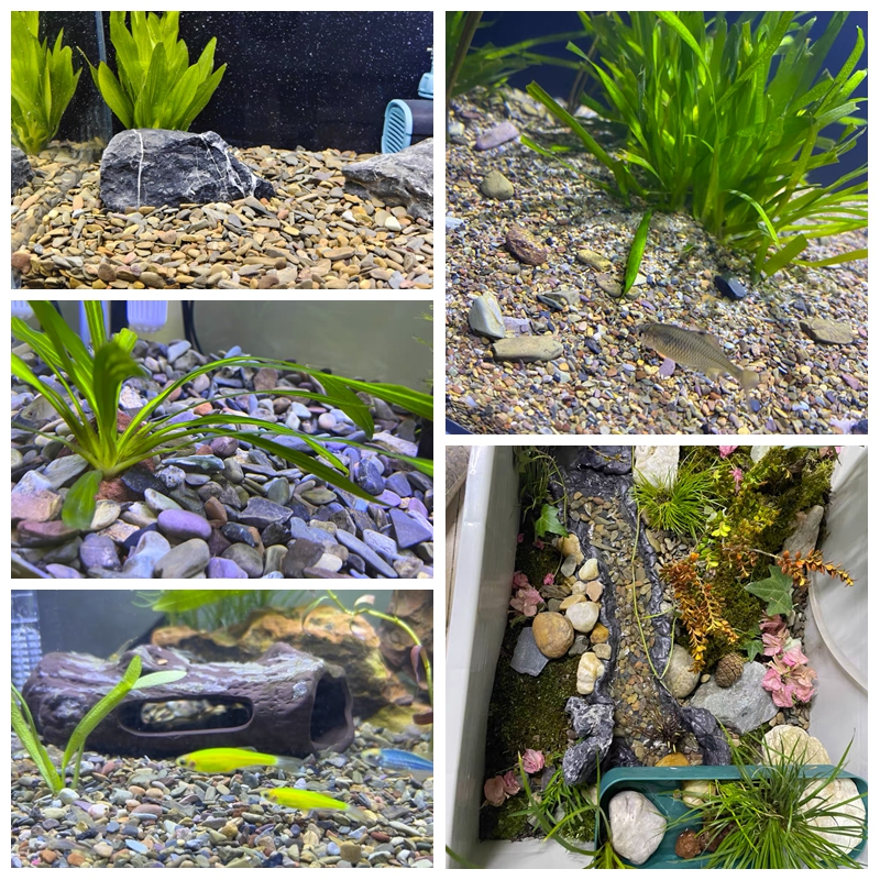 500g Fish Tank Bottom Sand Sto - Aquarium Planted Sand incelemesi ve fiyatı