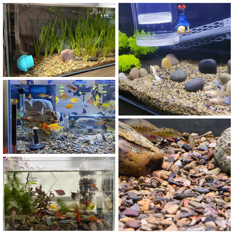 500g Fish Tank Bottom Sand Sto - Aquarium Planted Sand incelemesi ve fiyatı