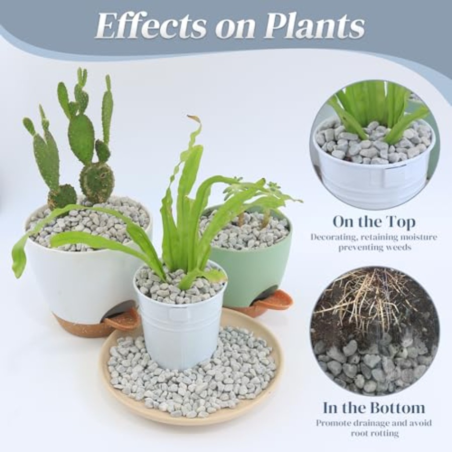 45LB Succulent Rocks, 1/4 Inch - Planted Aquarium With Rocks incelemesi ve fiyatı
