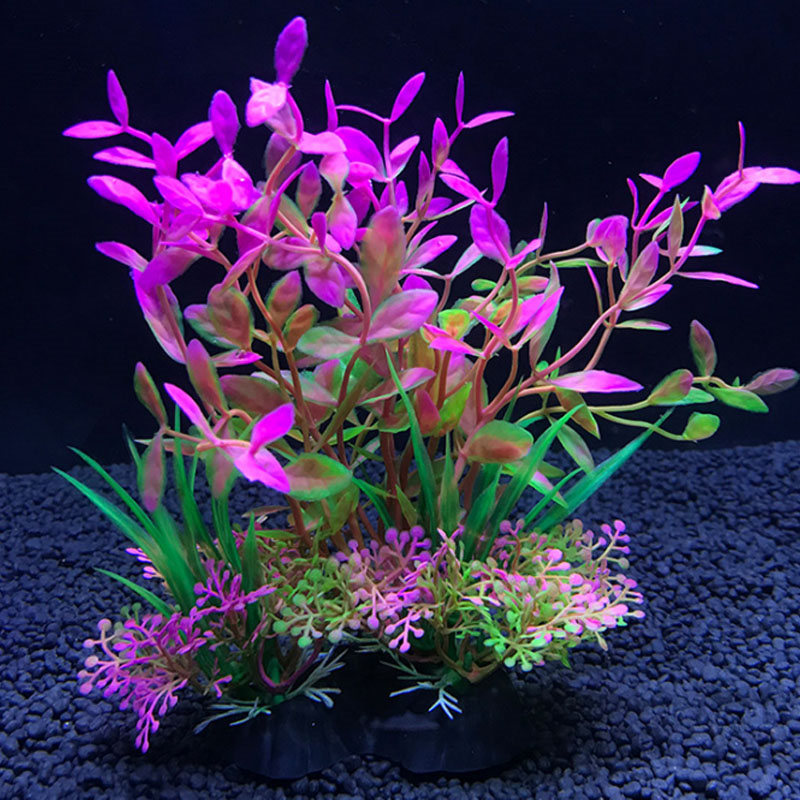 Aquarium decoration a variety  - Aquarium Plant Varieties incelemesi ve fiyatı