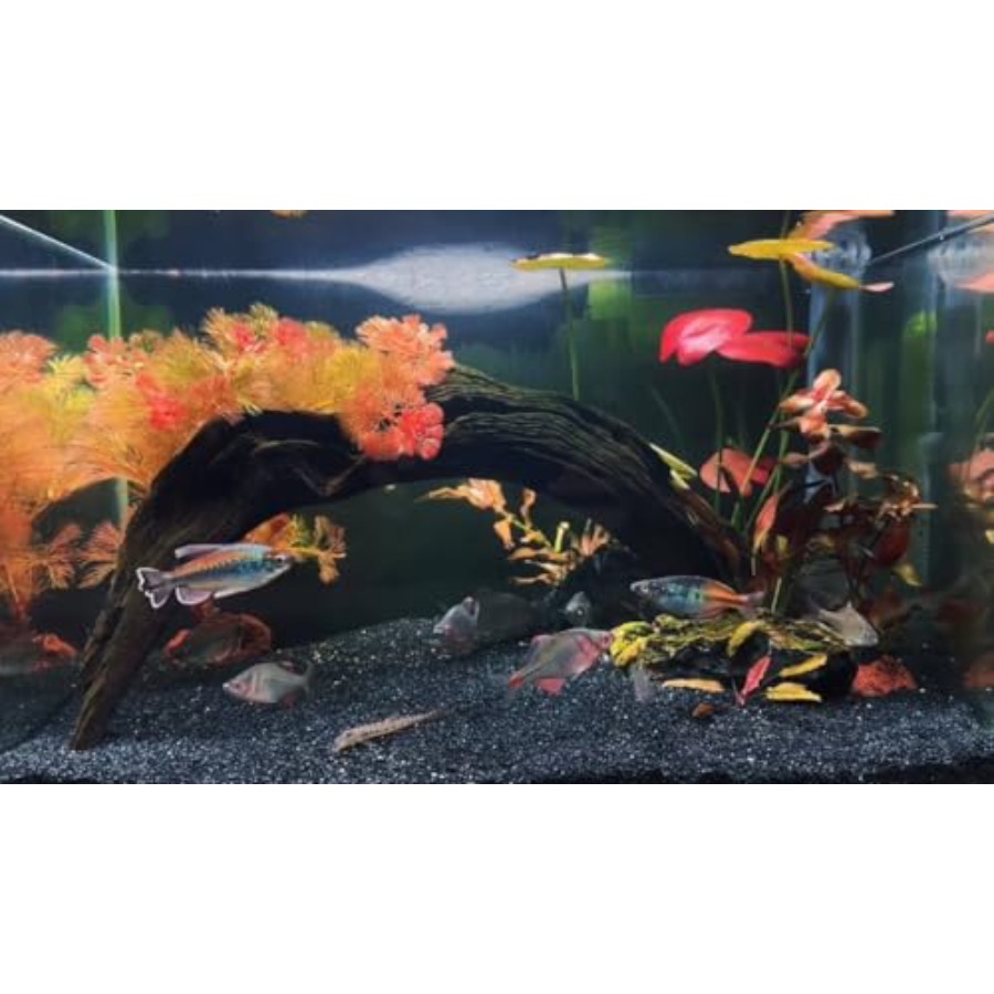 Aquarium Sand, 0 Fish Tank San - Aquarium Planted Sand incelemesi ve fiyatı