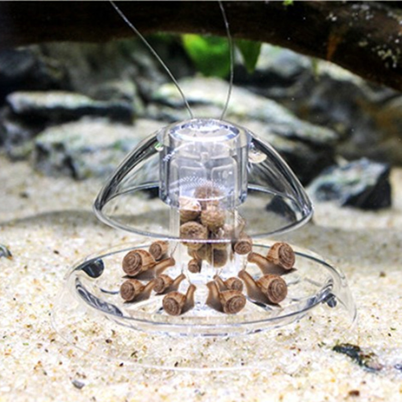 1PCS Fish Tank Aquarium Cleane - Aquarium Plant Utensils incelemesi ve fiyatı