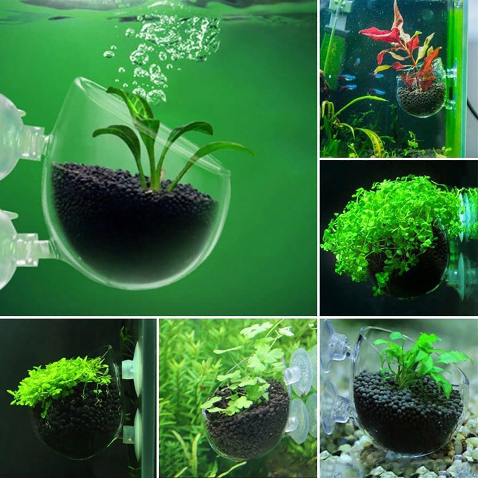 Aquarium Decoration Plant Cup  - Aquarium Plant Utensils incelemesi ve fiyatı