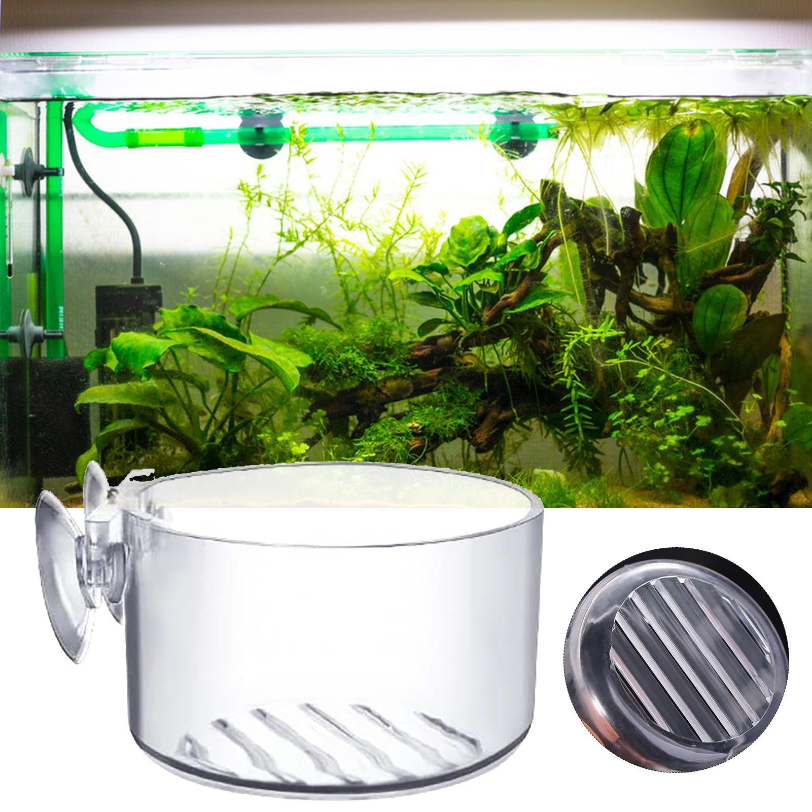 Aquarium Decoration Plant Cup  - Aquarium Plant Utensils incelemesi ve fiyatı
