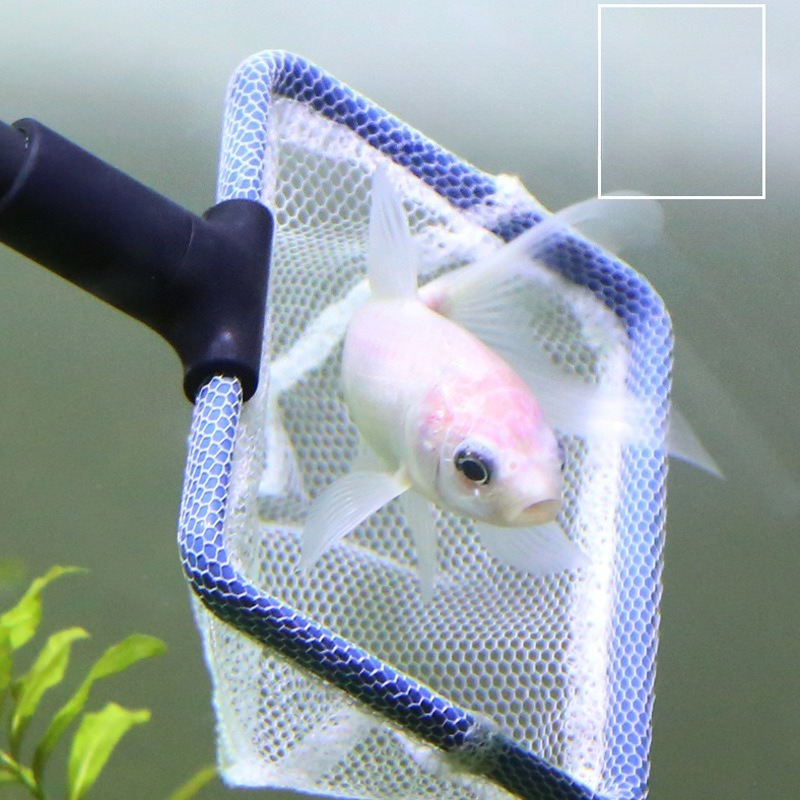 Aquarium Cleaning Tool Set Mul - Aquarium Planted Sand incelemesi ve fiyatı
