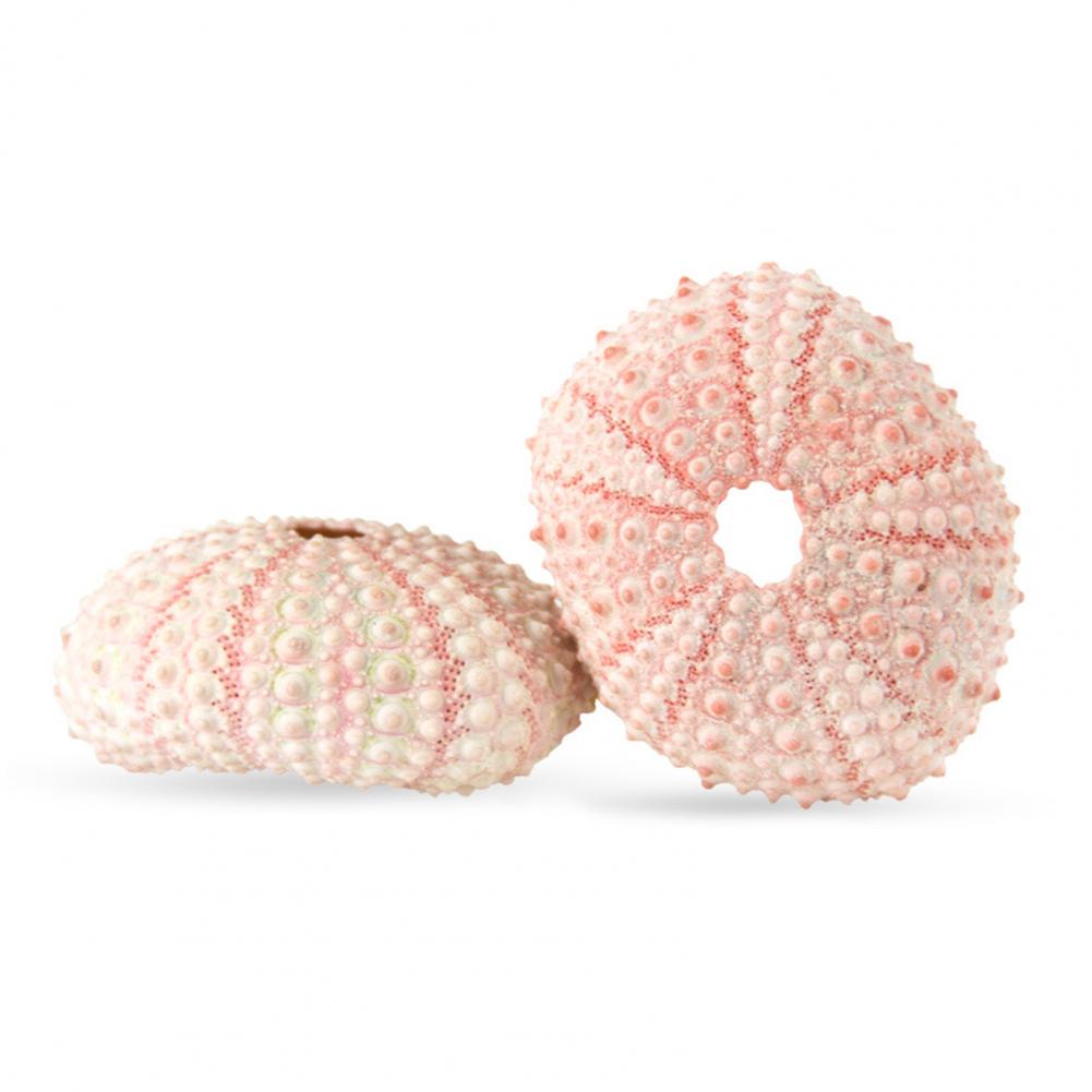 5cm-6cm Sea Shell Conch Orname - Planted Aquarium Air Stone incelemesi ve fiyatı