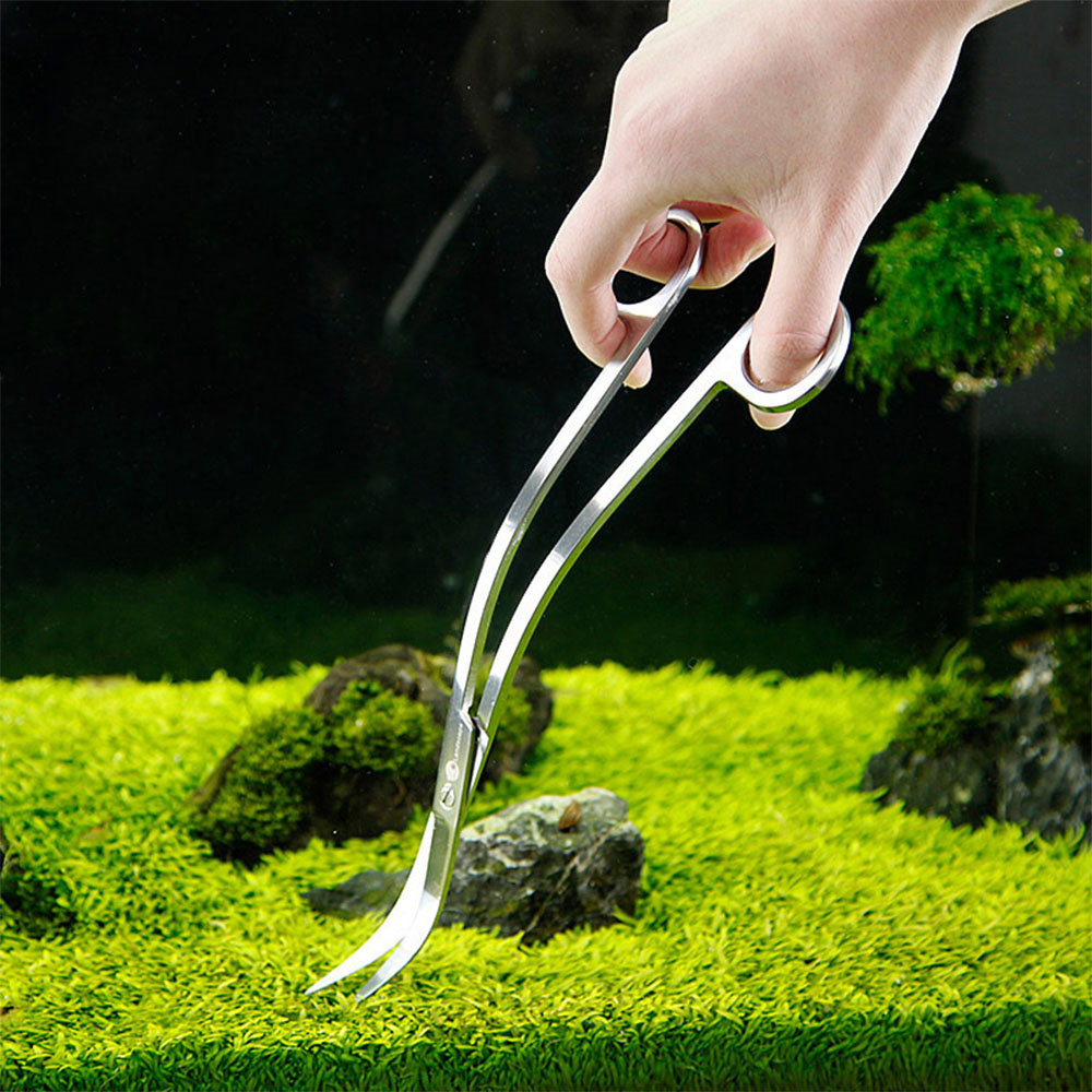 Aquarium Accessories Hard Stai - Aquarium Plant Utensils incelemesi ve fiyatı
