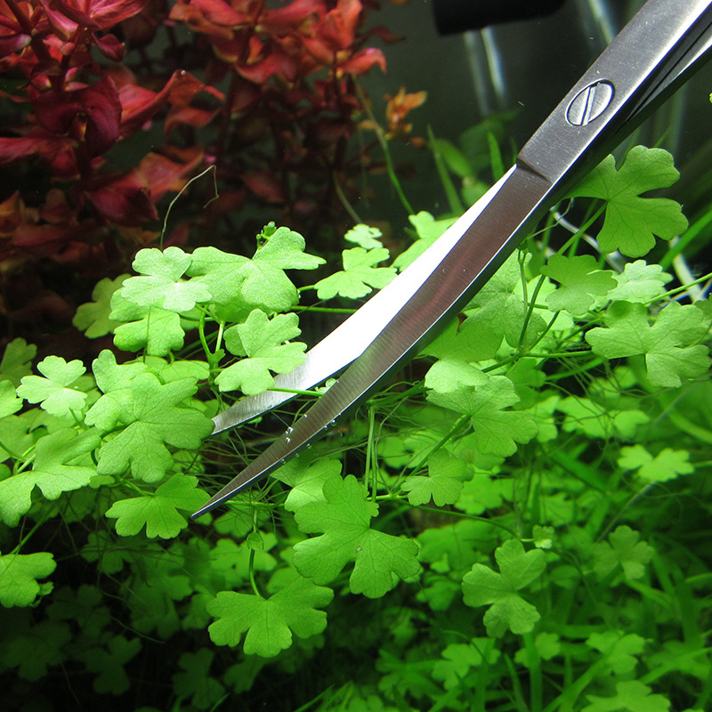 Aquarium Accessories Hard Stai - Aquarium Plant Utensils incelemesi ve fiyatı