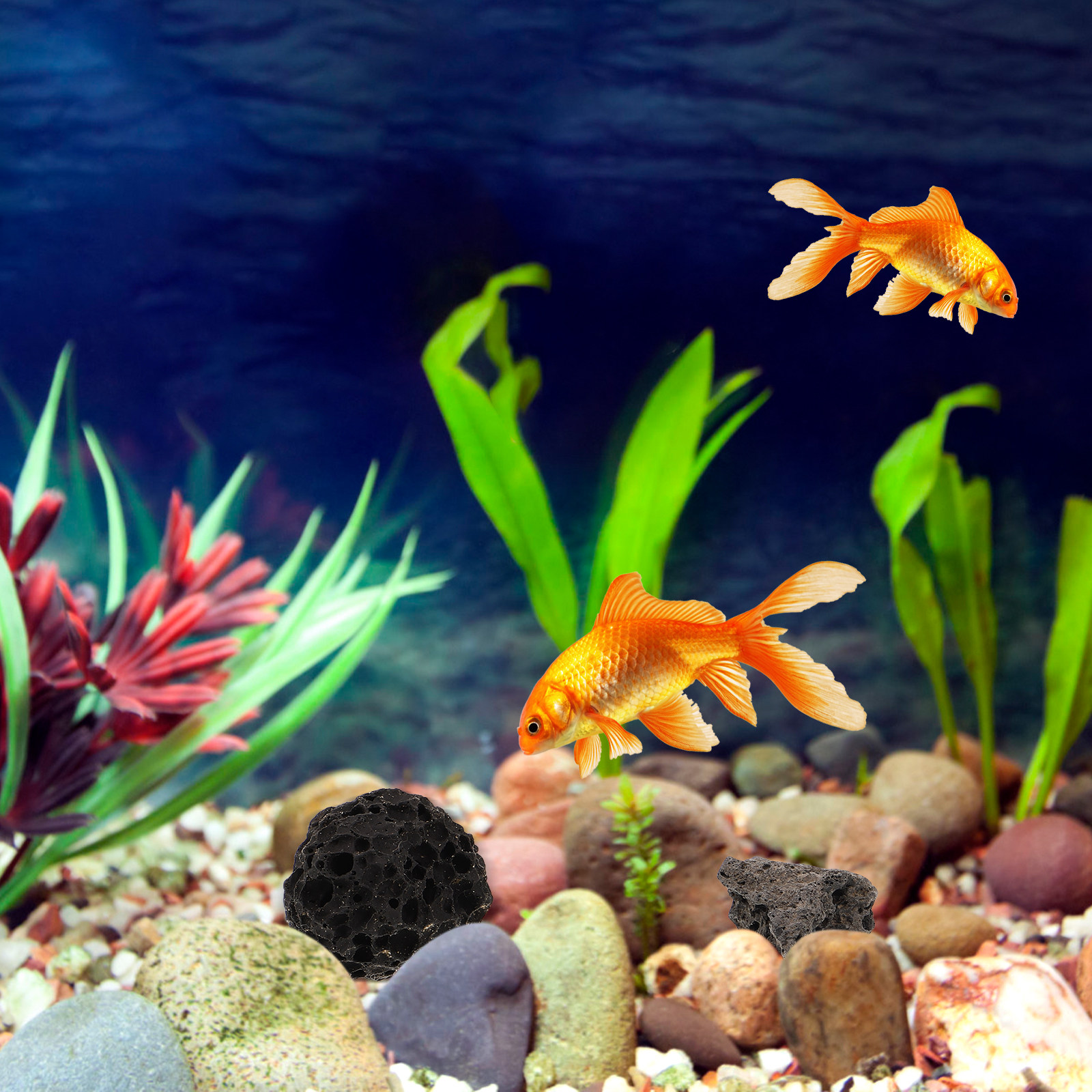 Volcanic Rock Ornaments Natura - Planted Aquarium With Rocks incelemesi ve fiyatı
