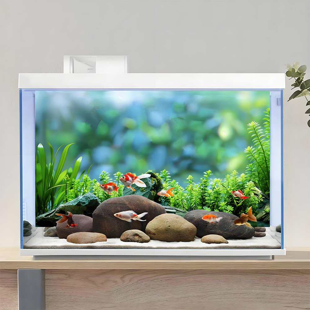 Rock and aquatic plants,Fish t - Planted Aquarium With Rocks incelemesi ve fiyatı
