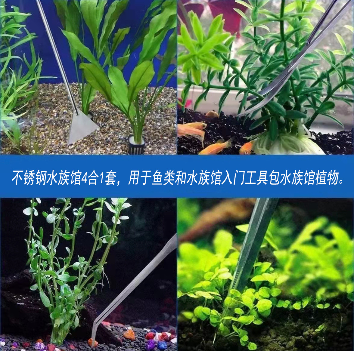 48cm Stainless Steel Aquarium  - Aquarium Plant Utensils incelemesi ve fiyatı