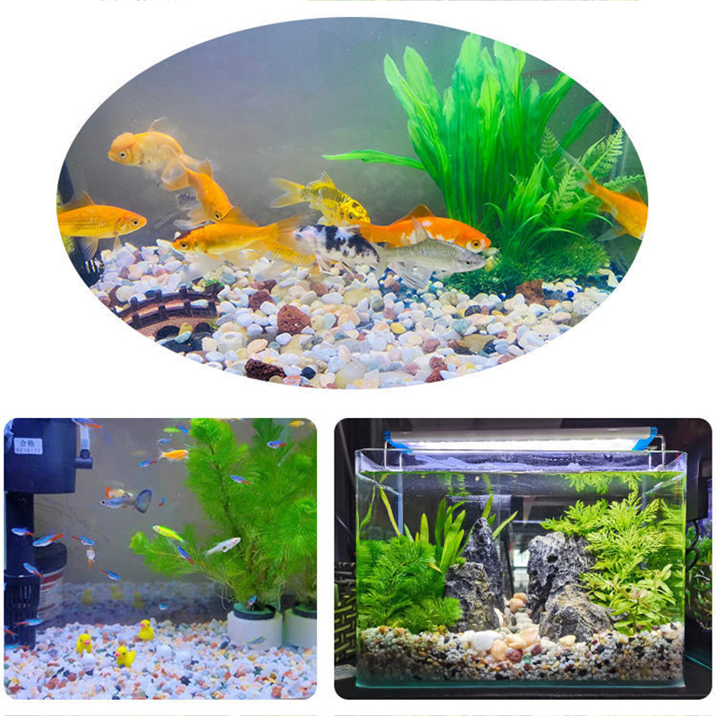 Natural Gravel Stone 200~1000g - Aquarium Planted Sand incelemesi ve fiyatı