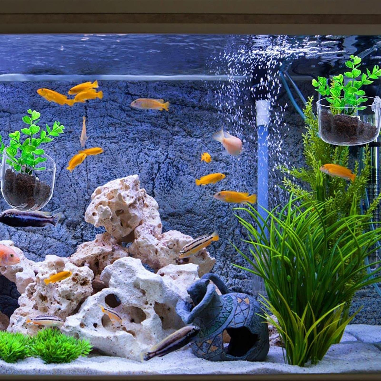 Plant Holder for Fish Tank Cle - Aquarium Plant Utensils incelemesi ve fiyatı