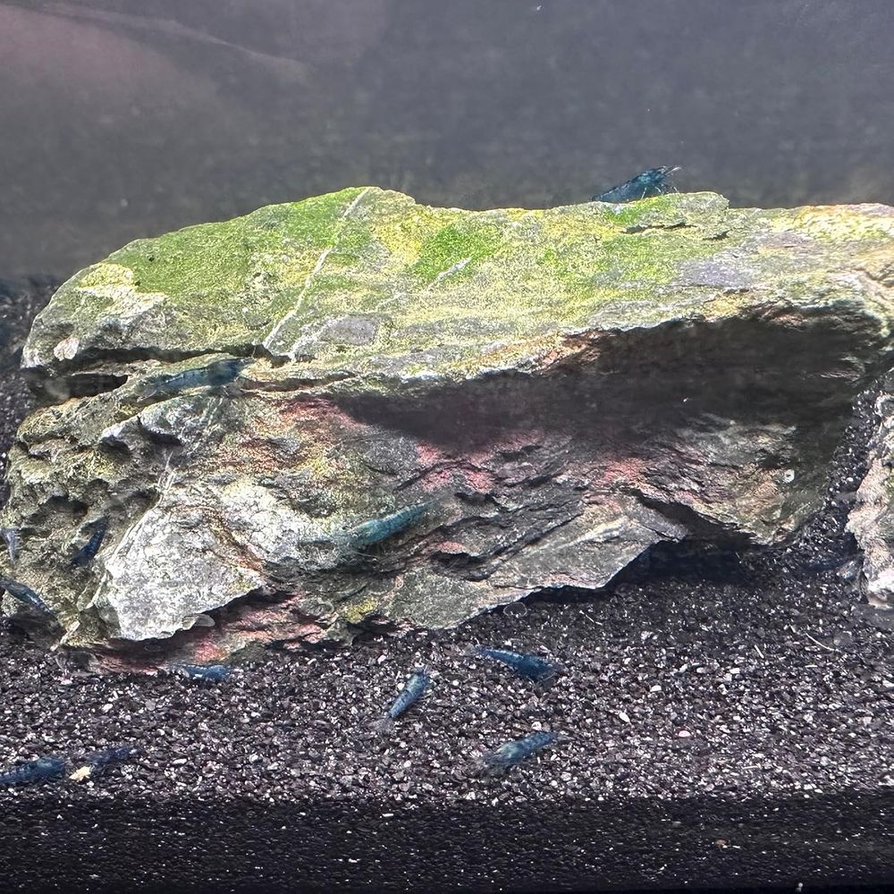 YISZM Aquarium Sand, 20lbs Bla - Aquarium Planted Sand incelemesi ve fiyatı