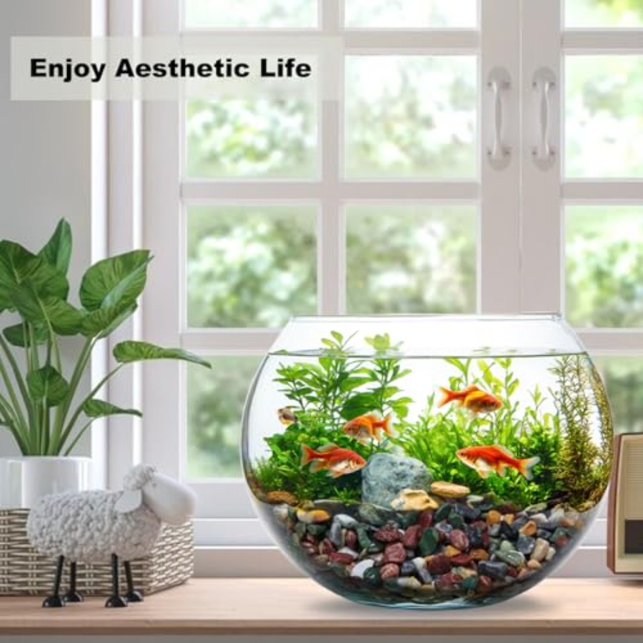 45LB Succulents Rocks for Plan - Planted Aquarium With Rocks incelemesi ve fiyatı