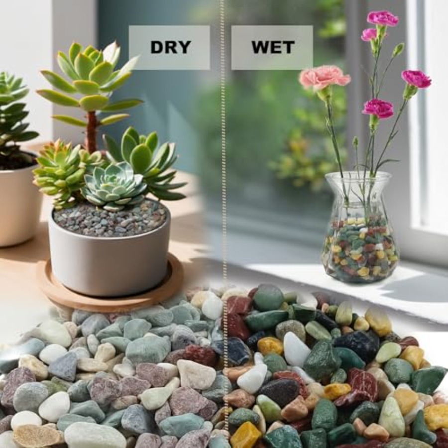 45LB Succulents Rocks for Plan - Planted Aquarium With Rocks incelemesi ve fiyatı