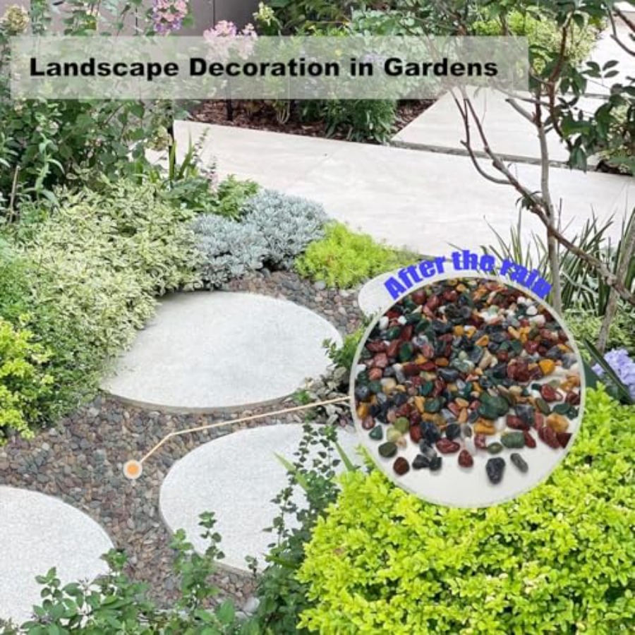 45LB Succulents Rocks for Plan - Planted Aquarium With Rocks incelemesi ve fiyatı