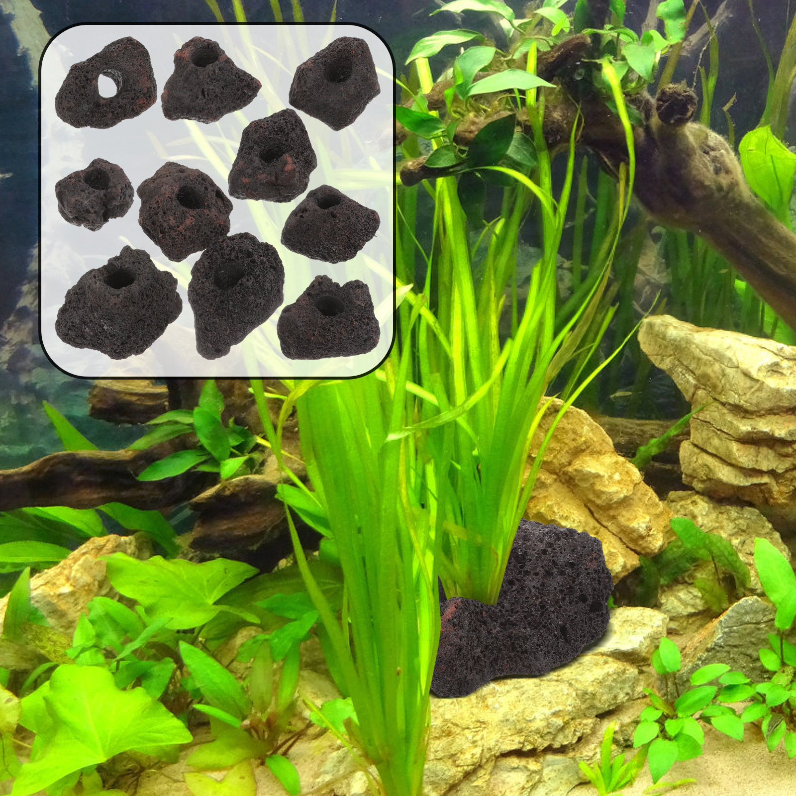 10Pcs Water Plants Volcanic St - Planted Aquarium With Rocks incelemesi ve fiyatı