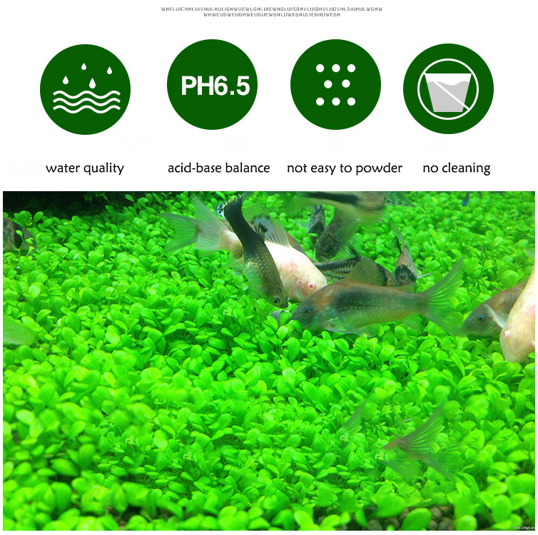 Aquarium Plant Seeds Soil Fish - Aquarium Planted Sand incelemesi ve fiyatı