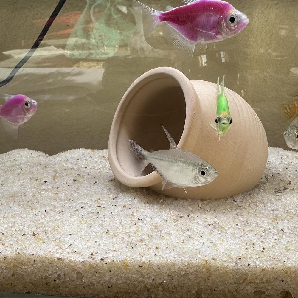YISZM Aquarium Sand, 20lbs Bei - Aquarium Planted Sand incelemesi ve fiyatı