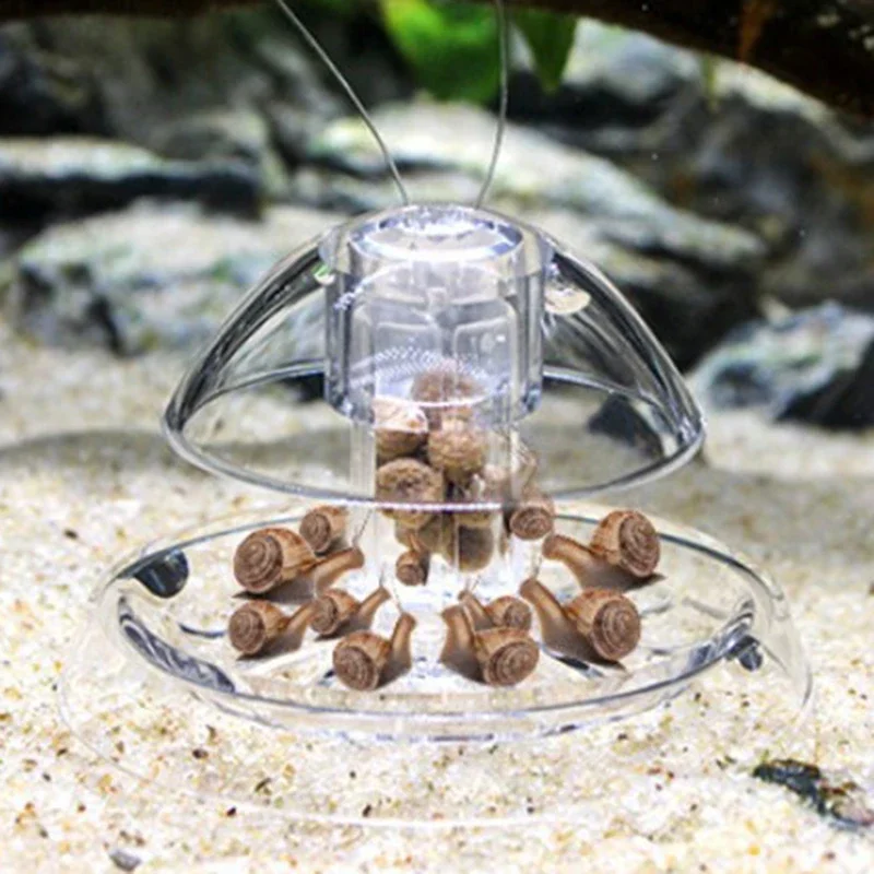 1PCS Fish Tank Aquarium Cleane - Aquarium Plant Utensils incelemesi ve fiyatı