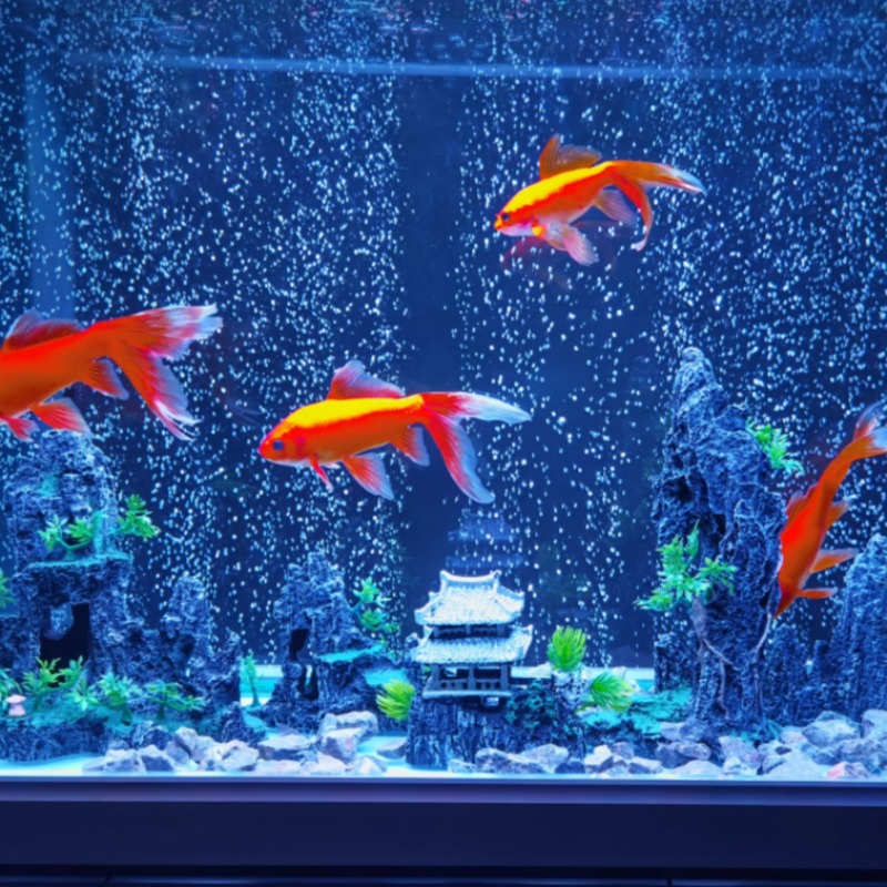 Aquarium Decor Stone Rockery C - Aquarium Sand White incelemesi ve fiyatı